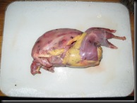IMG_5374 IMG_5374