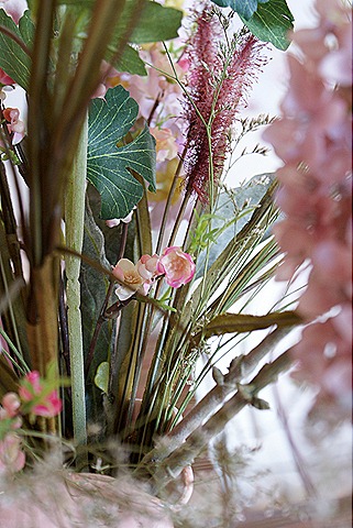 [blog74.jpg]