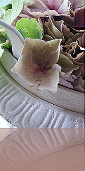 blog 14