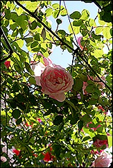 blog 6