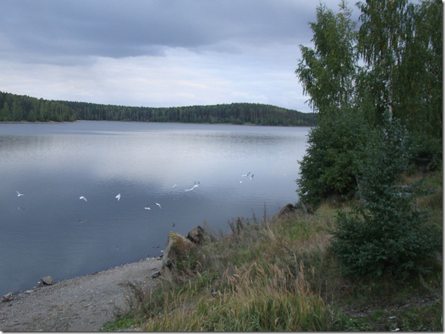 DSC05216