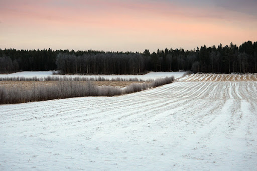 vinterlandskap