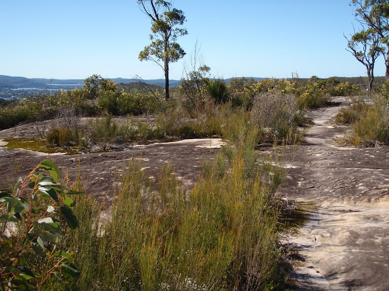Wondabyne in the distance Photo