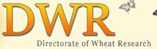 DIRECTORATE OF WHEAT RESEARCH 