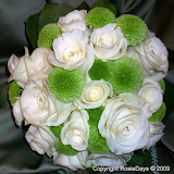 100_0054.JPG