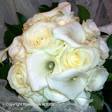 100_0058.JPG