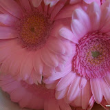 100_0863.JPG