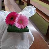 IMG_1437.JPG