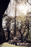 Praça da Liberdade. Inverno ou outono? Primavera talvez.