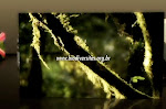 Frame do vídeo institucional da Fundação Biodiversitas que comemora os seus 20 anos através de depoimentos de várias personalidades que fizeram e fazem parte da história da organização.