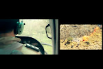 Frame do vídeo produzido para o IEF - Instituto Estadual de Florestas de Minas Gerais.