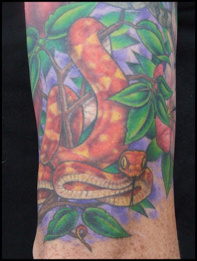 tattoo trinity. Earl Funk Trinity Tattoo Snake