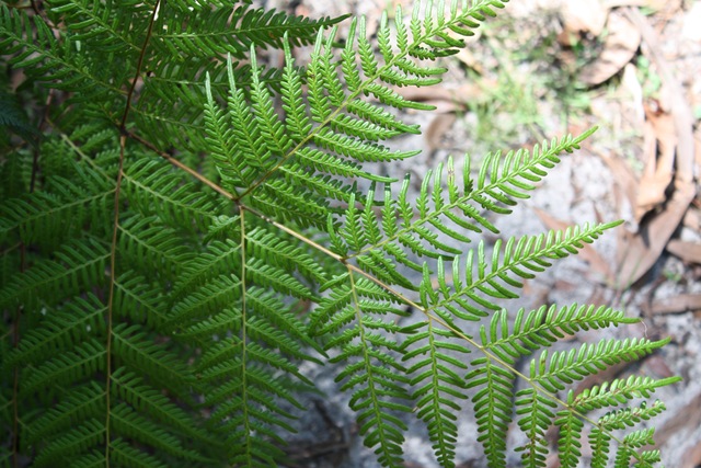 [IMG_38603.jpg]