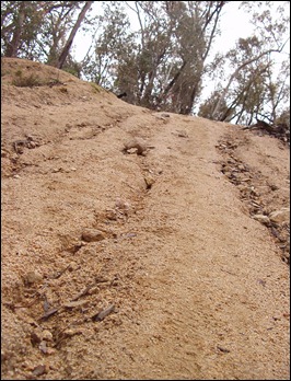 PB060017