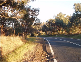 P4130008