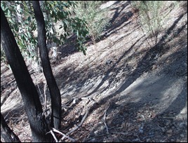 P4240018