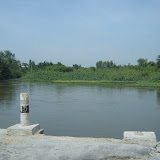 DSC09348.JPG