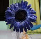 dsc01501.jpg