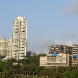 The skyscrapers of Napeansea Road