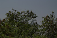The first image at low exposure