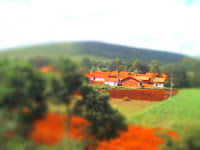 IMG_0017-tiltshift-tiltshift.jpg