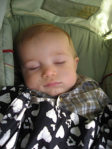 IMG_3705.JPG