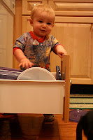 IMG_7253.JPG