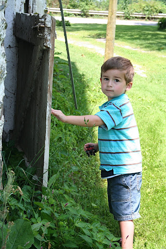 IMG_0389.JPG copy