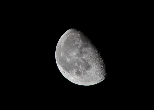 IMG_1584_1.jpg