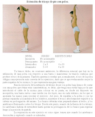 Polea usos Polea usos