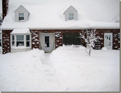 Snow Pictures 231