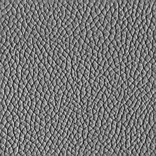 Arch49_leather_bump Arch49_leather_bump