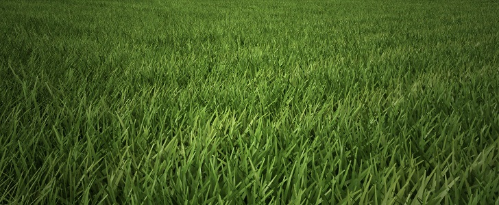copertina copertina