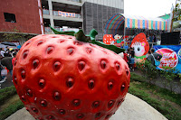 IMG_0120_20080126.JPG