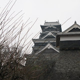 IMG_5168.JPG