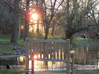 View of Sunset from Emily's Bench at the Duckpond in Blacksburg, VA