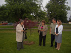 Dedication of the tree by the Valley Place Bookclub