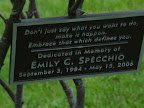 Plaque on the Tree