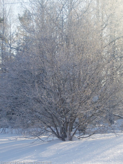 [winter '09-'10 009[13].jpg]