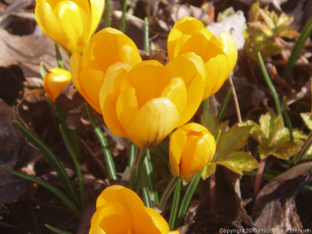 [Spring 2010 011[10].jpg]