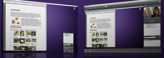 [adobe-connectnow[5].jpg]