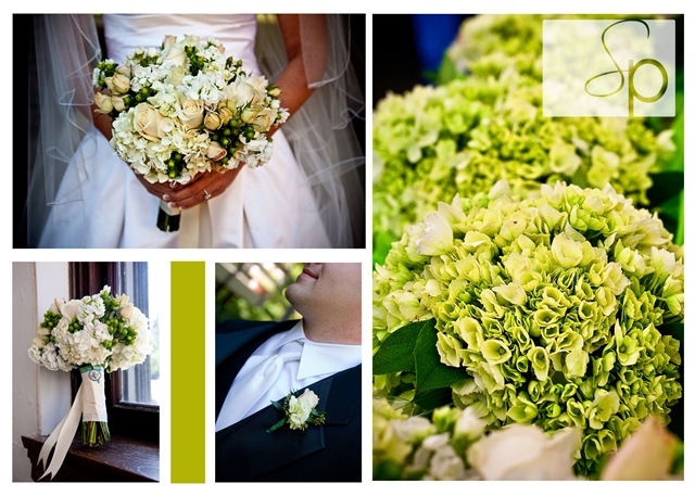 [flowercollage2.jpg]