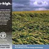 Food For Fund 2008