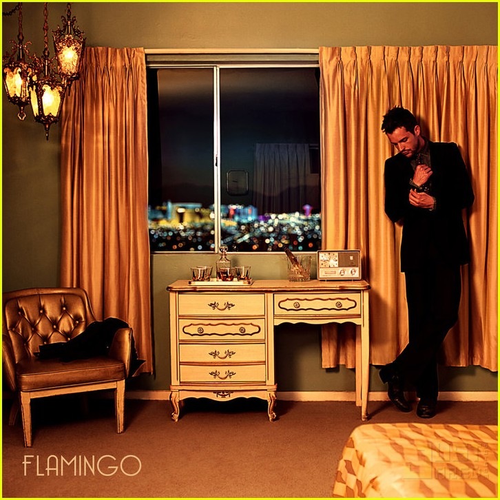 [brandon-flowers-flamingo-album-cover-01[5].jpg]