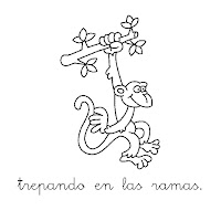 marrón es el tronco_p04.jpg