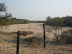 Ramokgwebana River and the border fence - partly to control immmigration but mainly to prevent foot and mouth.
