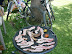 Post-ride nutrition.
