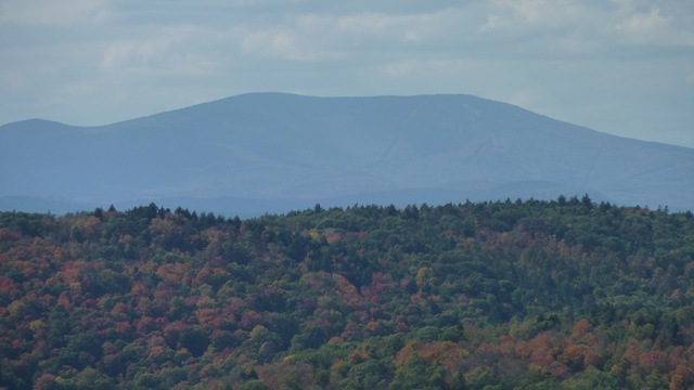 [P1010953[4].jpg]