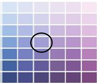 [purple[5].jpg]