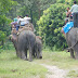 DSC_0257.JPG, Elephant Safari, Royal Chitwan National Park, Nepal, Chitwan National Park, Nepal